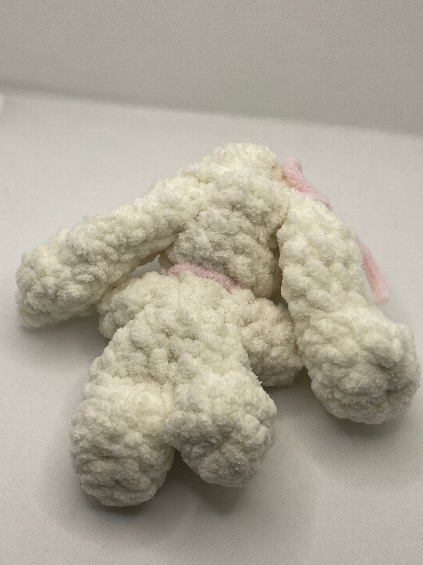Bow Bunny